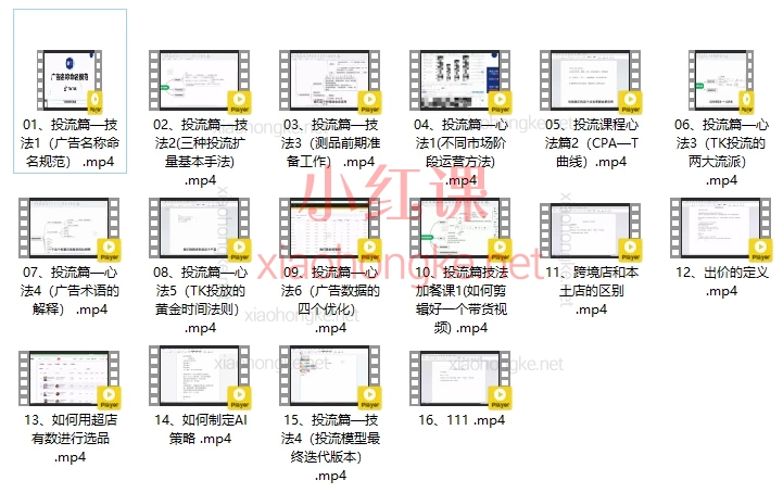 Allen-TK小店系统运营与精准投流实战课