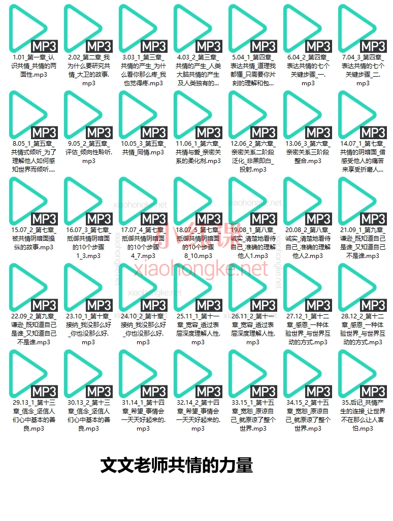 书享吧共情的力量+文文老师共情的力量,一个情商高的人如何抚慰受伤的灵魂