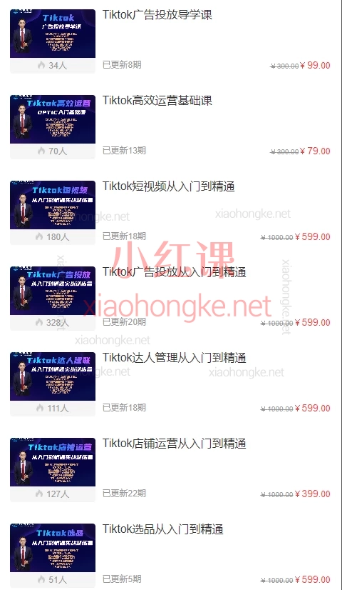 跨境无疆:Tiktok广告投放、选品、店铺运营、高效运营,从入门到精通合集