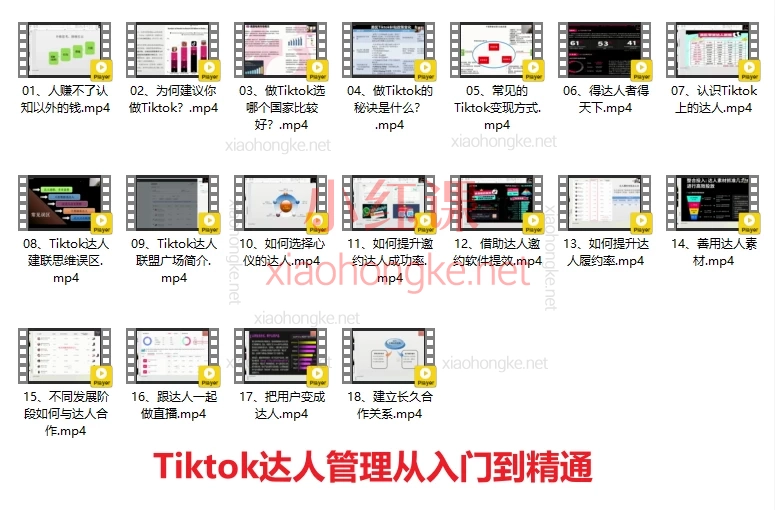 跨境无疆：Tiktok广告投放、选品、店铺运营、高效运营，从入门到精通合集
