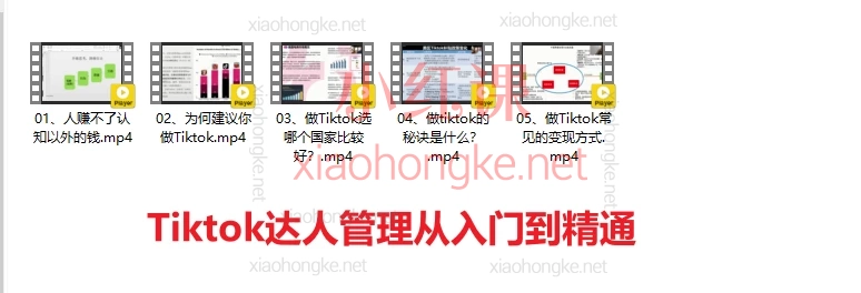 跨境无疆：Tiktok广告投放、选品、店铺运营、高效运营，从入门到精通合集