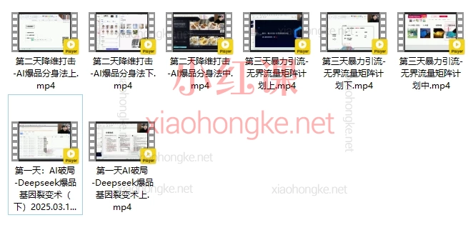 秋秋漫画电商DeepSeek+爆品运营组合玩法