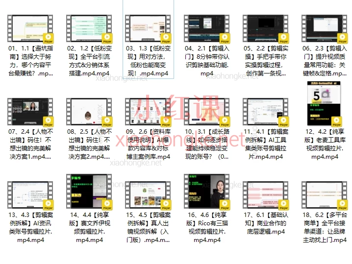 2025姜戈AI自媒体风口掘金课,低粉高变现攻略+剪映全教学💡