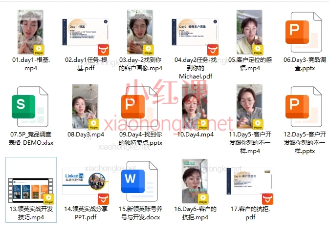 Alisa的外贸圈：21天客户开发挑战，客户画像×竞品分析×卖点提炼×领英实战 | 创业者/B2B外贸必修