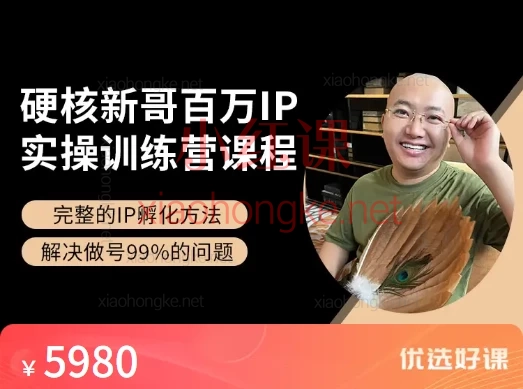 硬核新哥:百万IP实操落地训练系统课程,从小白到变现全攻略📈