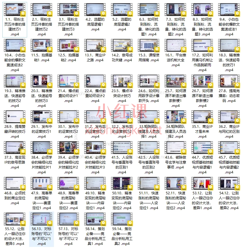 硬核新哥：百万IP实操落地训练系统课程，从小白到变现全攻略📈