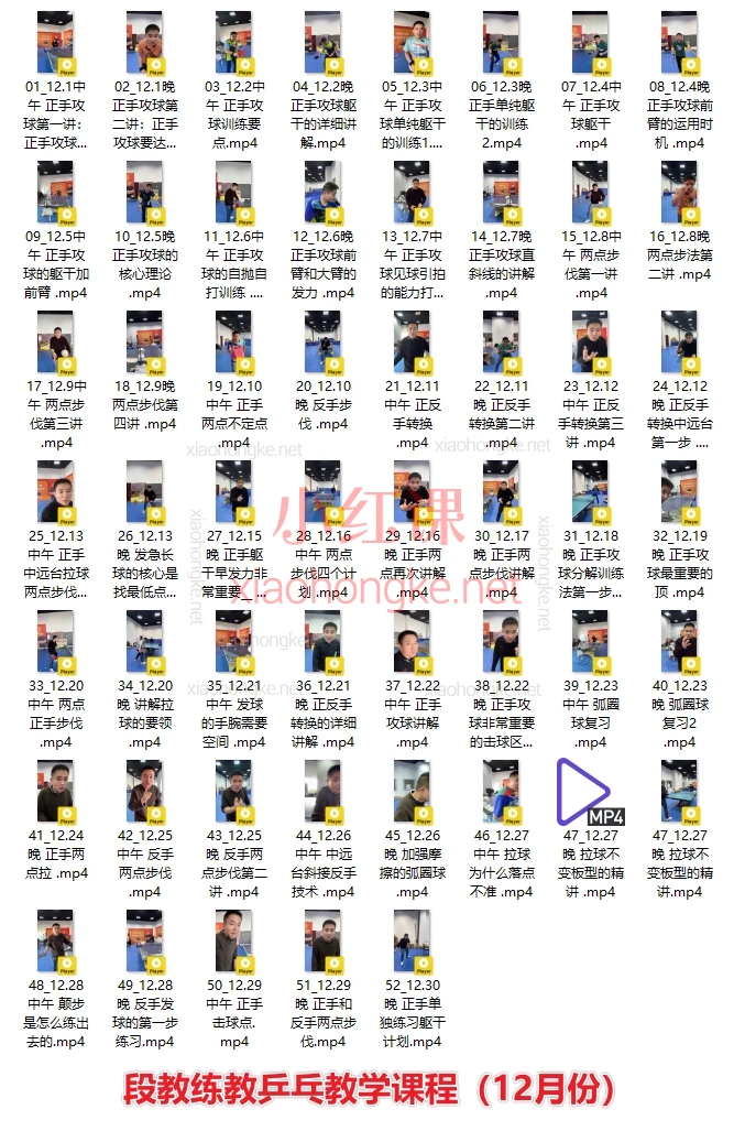 段教练教乒乓教学课程(10、11、12月份)🔥【段教练3个月系统乒乓训练课】从入门到进阶的完整提升方案!