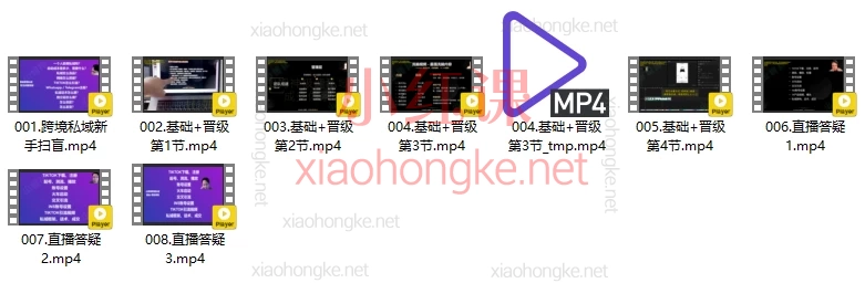 山姆神sam跨境私域基础+晋级精品课