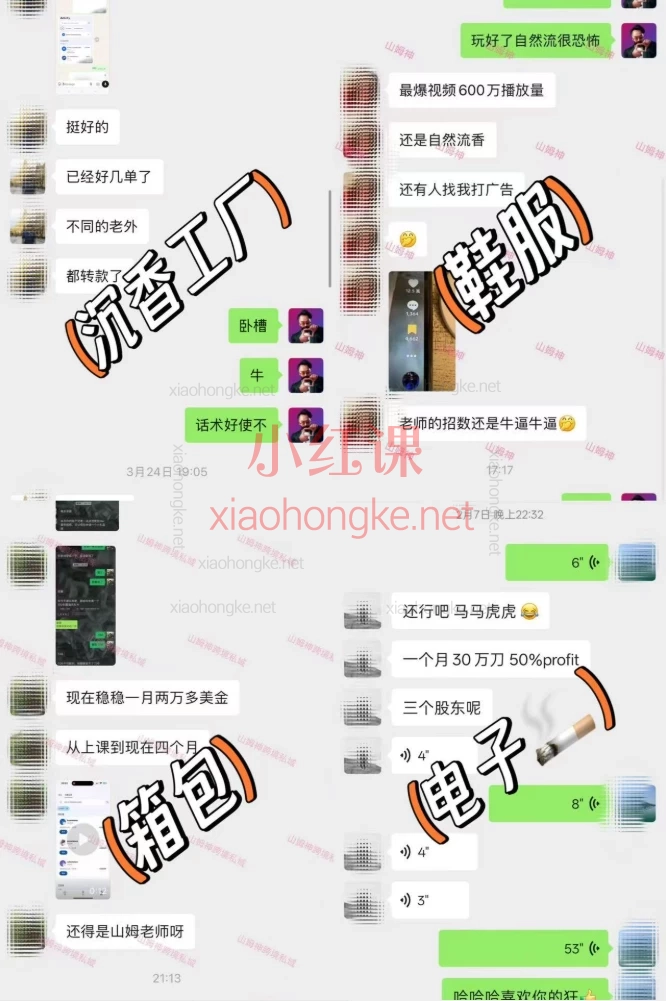 山姆神sam跨境私域3.0线上+AI智能客服高级课