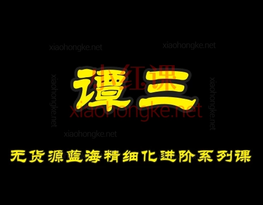 谭三淘宝无货源蓝海精细化进阶系列课