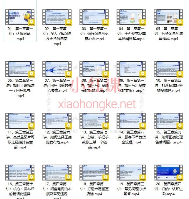 河马电商2025闲鱼无货源核心实战教程，手把手教你用一部手机实现副业逆袭