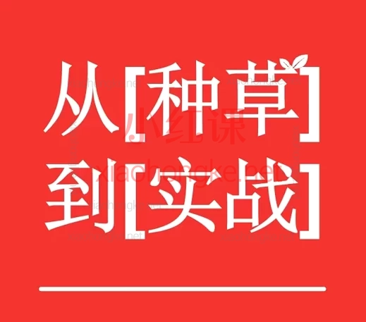 小红书店铺运营操作指南,从0到1玩转小红书店铺🔥新手必看保姆级开店教程!