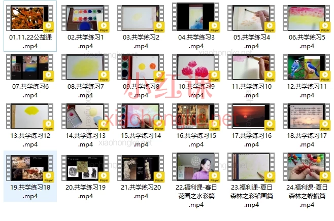 《色彩动力学》共学营线上课程，20+练习+3大福利课，小白也能玩转色彩！​