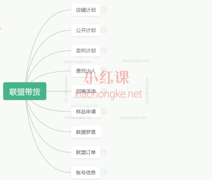 蕾蕾聊跨境:TikTok店铺运营从0到1学习课程