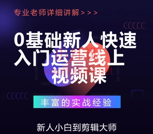 蕾蕾聊跨境:TikTok店铺运营从0到1学习课程