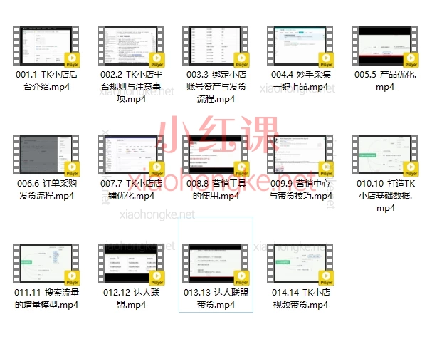 蕾蕾聊跨境：TikTok店铺运营从0到1学习课程