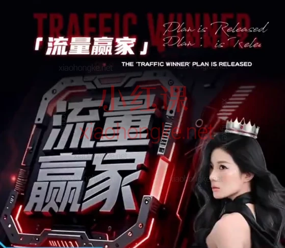 哎美商学院:小艾同城直播实操班🔥30节同城直播实操课,手把手教你引爆本地流量,直播间轻松爆单!