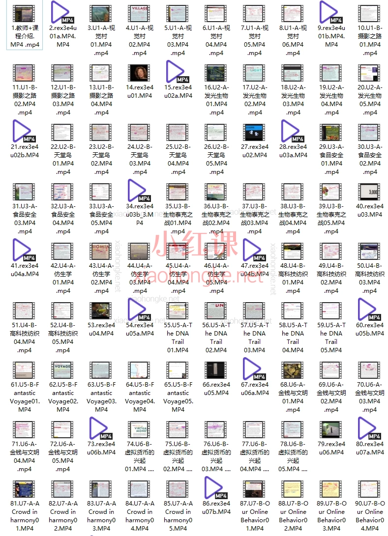 晓蓉老师：美国国家地理原版B4国家地理精讲RE，搞定英语阅读写作难题💪