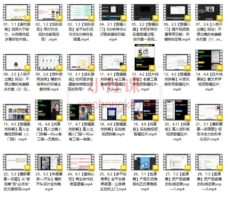 🔥 从0粉到月入2W+!AI自媒体-零基础到稳定变现陪跑营