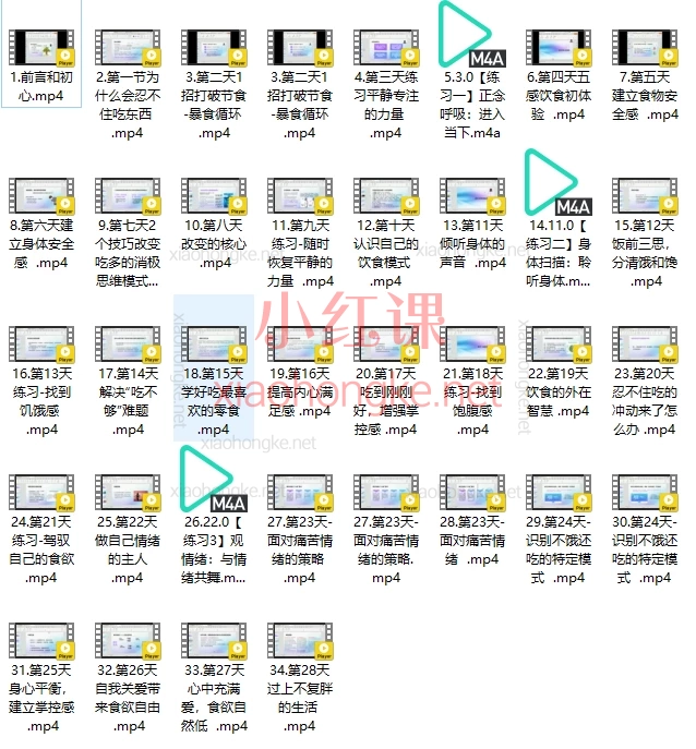 掌控食欲的心法，🔥28天告别情绪化暴食！正念饮食心法，找回食欲掌控感｜不复胖秘籍