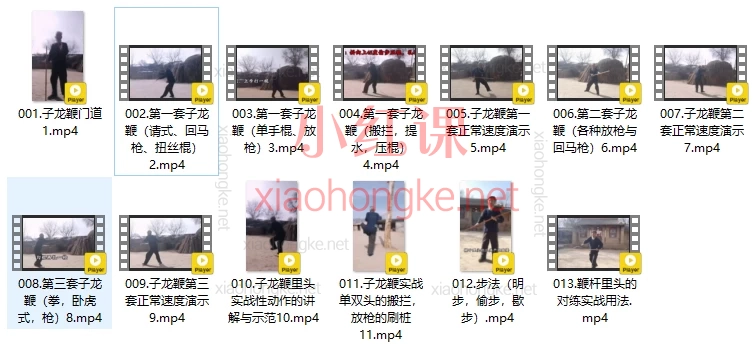 西北传统武术子龙鞭及实战用法(带字幕)