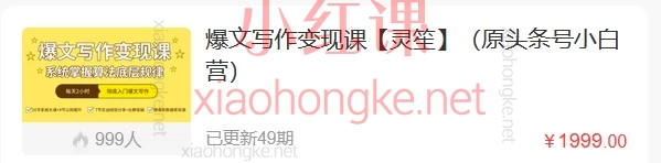 爆文写作变现课【灵笙】(原头条号小白营)