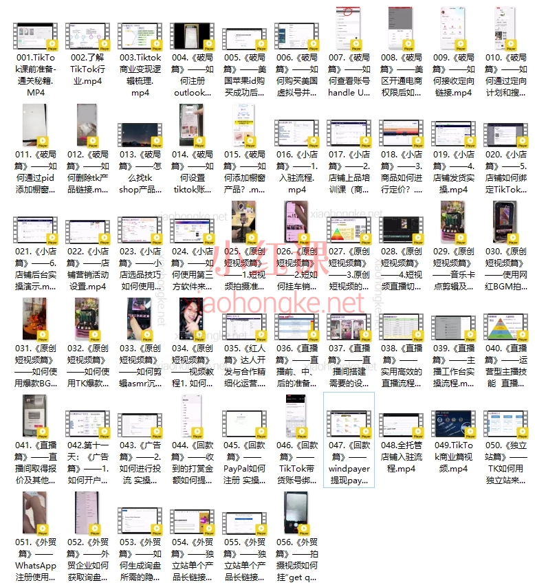 柚子出海TikTok出海掘金-通关秘籍，保姆级全链路通关秘籍🔥 跨境人必备！​