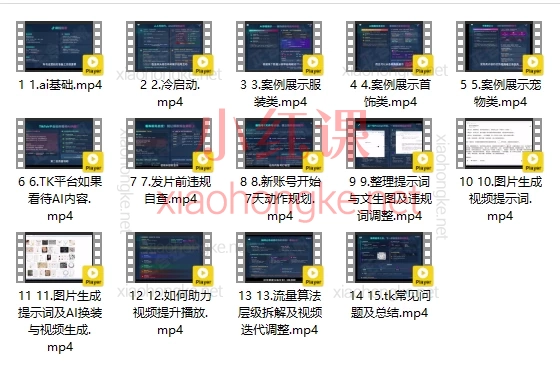 2025正合云帆Tiktok Ai短视频快速冷启动🔥 零基础玩转TikTok!