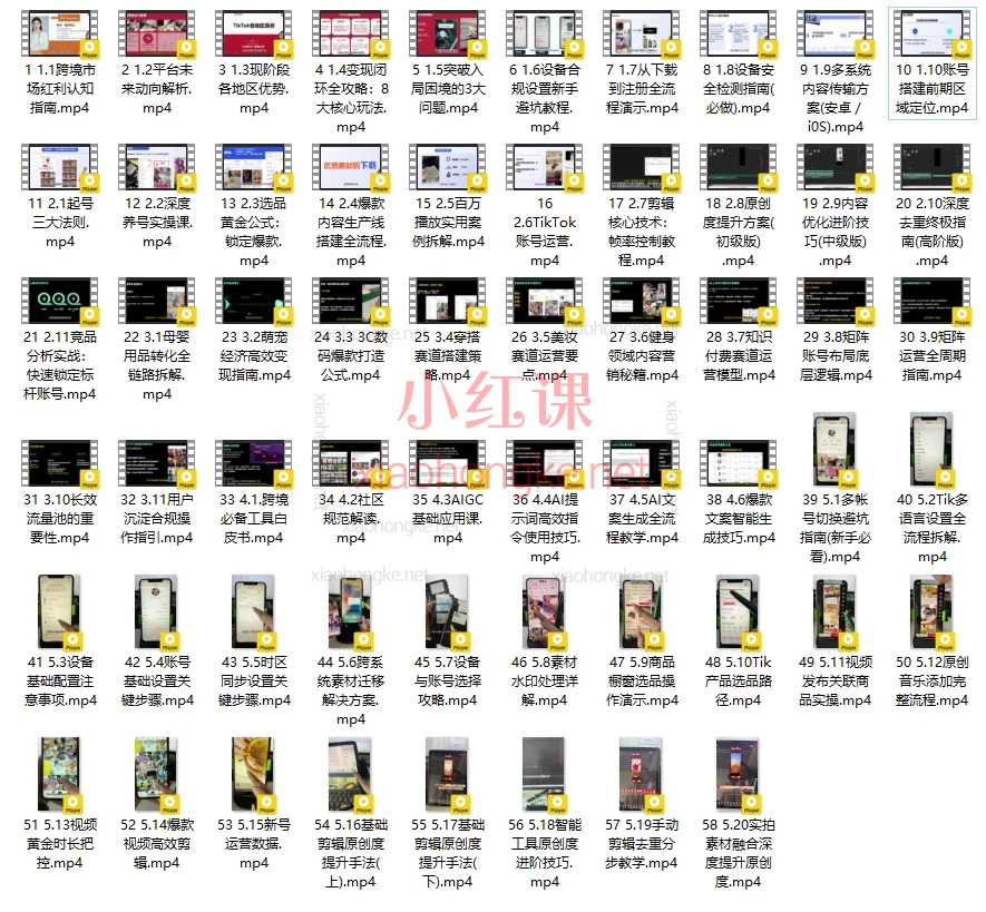 2025海鸥跨境（全套）TikTok短视频实操课0-1带货，58节跨境运营+深度原创+变现全攻略