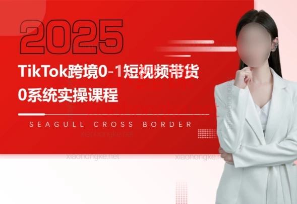 2025海鸥跨境(全套)TikTok短视频实操课0-1带货,58节跨境运营+深度原创+变现全攻略