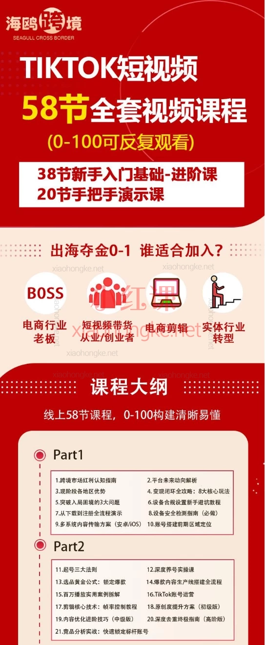 2025海鸥跨境（全套）TikTok短视频实操课0-1带货，58节跨境运营+深度原创+变现全攻略