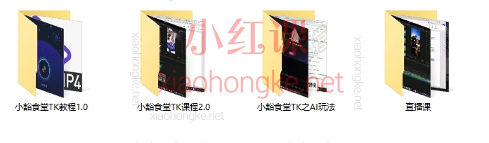 2025小豁食堂Tiktok中视频AI玩法陪跑课程，价值7980元