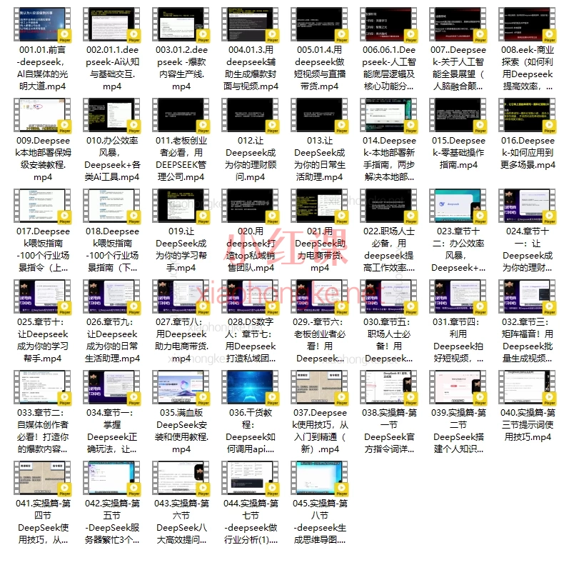 天诺老吴Deepseek使用进阶，自媒体搞钱必备课🌟