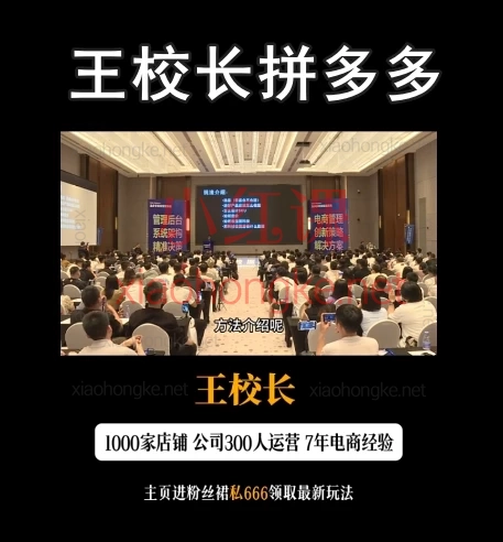2025王校长拼多多电商教程