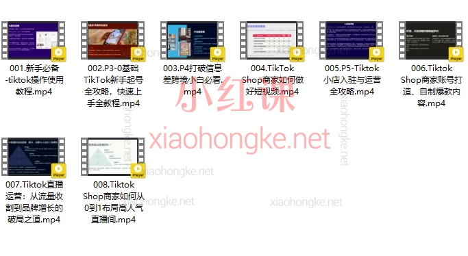 天诺老吴：Tiktok出海计划线上课，Tk出海全流程实战课来袭