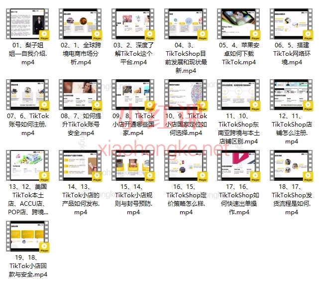 梨电商TikTokShop 基础小白课程，0基础开店→爆单全流程指南