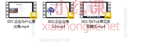 Richard创业投资逻辑，企业出海3.0认知实操课程