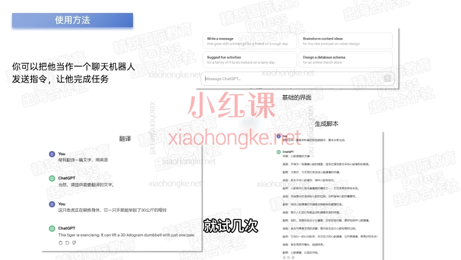 出海合作社掘金会员课,告别内卷0基础不会英语也能赚美金