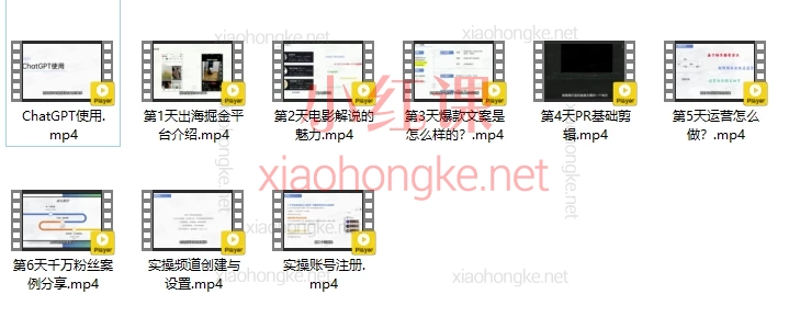 出海合作社掘金会员课，告别内卷0基础不会英语也能赚美金