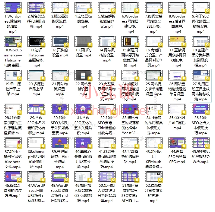 跨境电商建站WordPress+Google SEO优化，50+课时手把手建站·排名飙升💻