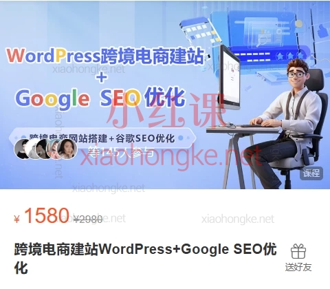 跨境电商建站WordPress+Google SEO优化,50+课时手把手建站·排名飙升💻
