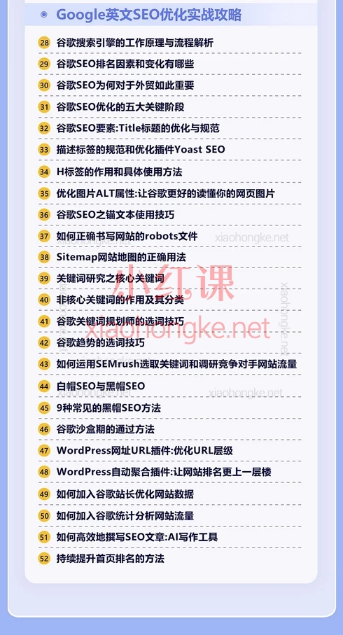 跨境电商建站WordPress+Google SEO优化，50+课时手把手建站·排名飙升💻