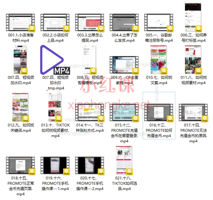 黑马会老白跨境电商： TikTok海外小店实战+TikTok内容营销全流程教学