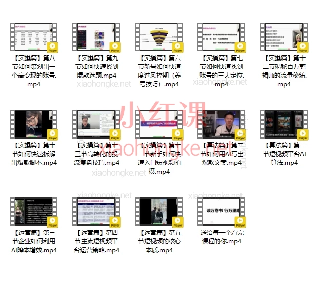 海学长AI操盘手运营实战课程,🌟【3天从0到精通】百万流量短视频实战秘籍!🌟