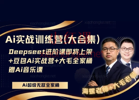 海螺Ai实战合集:deepseeK进阶课+豆包Ai实战营+大毛全家桶+赠Ai音乐课