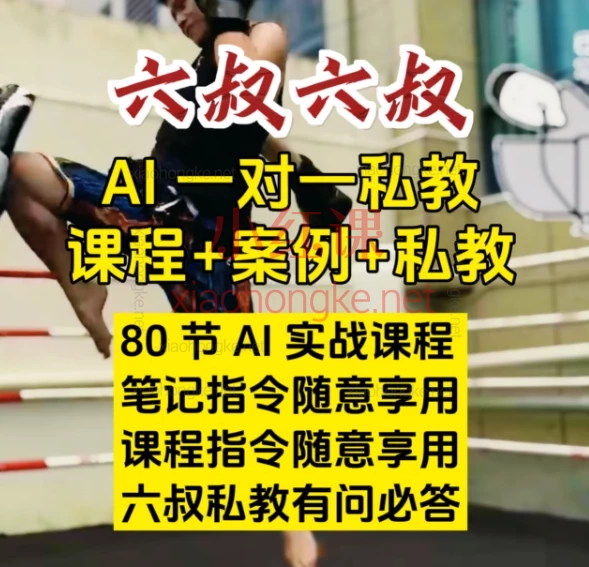 六叔的AI指令实战课,学会使用AI,解决工作学习中一个个具体问题,真正提高效率,为我所用