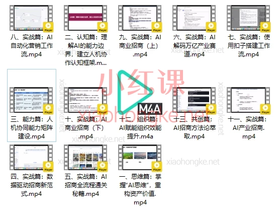 张宝明AI实战营：DeepSeek赋能产业商业招商