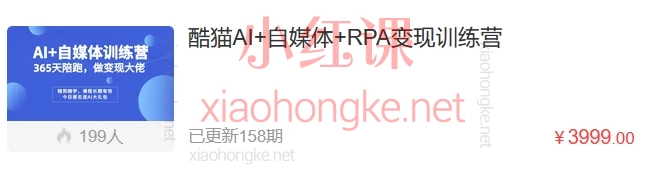 酷猫AI+自媒体+RPA变现训练营,写作变现+AI使用+SEO+多平台运营+RPA自动化