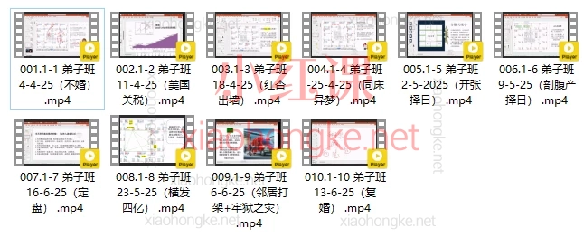 2025依婷紫微斗数-弟子班，10堂精华命理实战课，解锁人生百态！​​ 🌟