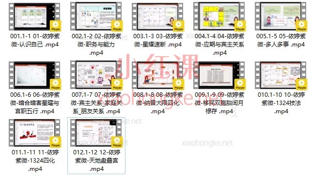 2025依婷紫微系统班,🔥【零基础小白必看】12节课掌握紫微斗数核心!依婷系统班带你解锁命理密码✨**